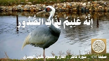 438 الصفحة   القرآن الكريم   سورة فاطر   بصوت الحصري