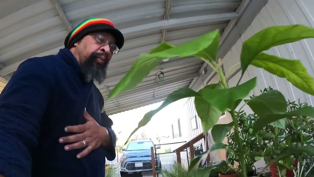 Bears Garden Adventure ep47. Making the wrong choice almost cost me