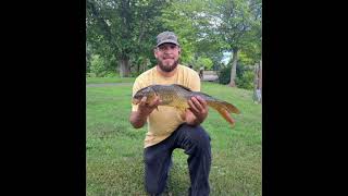 #carpfishing#pesca