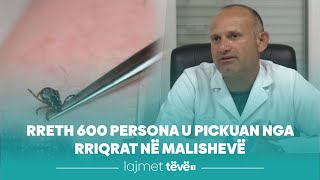 Rreth 600 persona u pickuan nga rriqrat në Malishevë