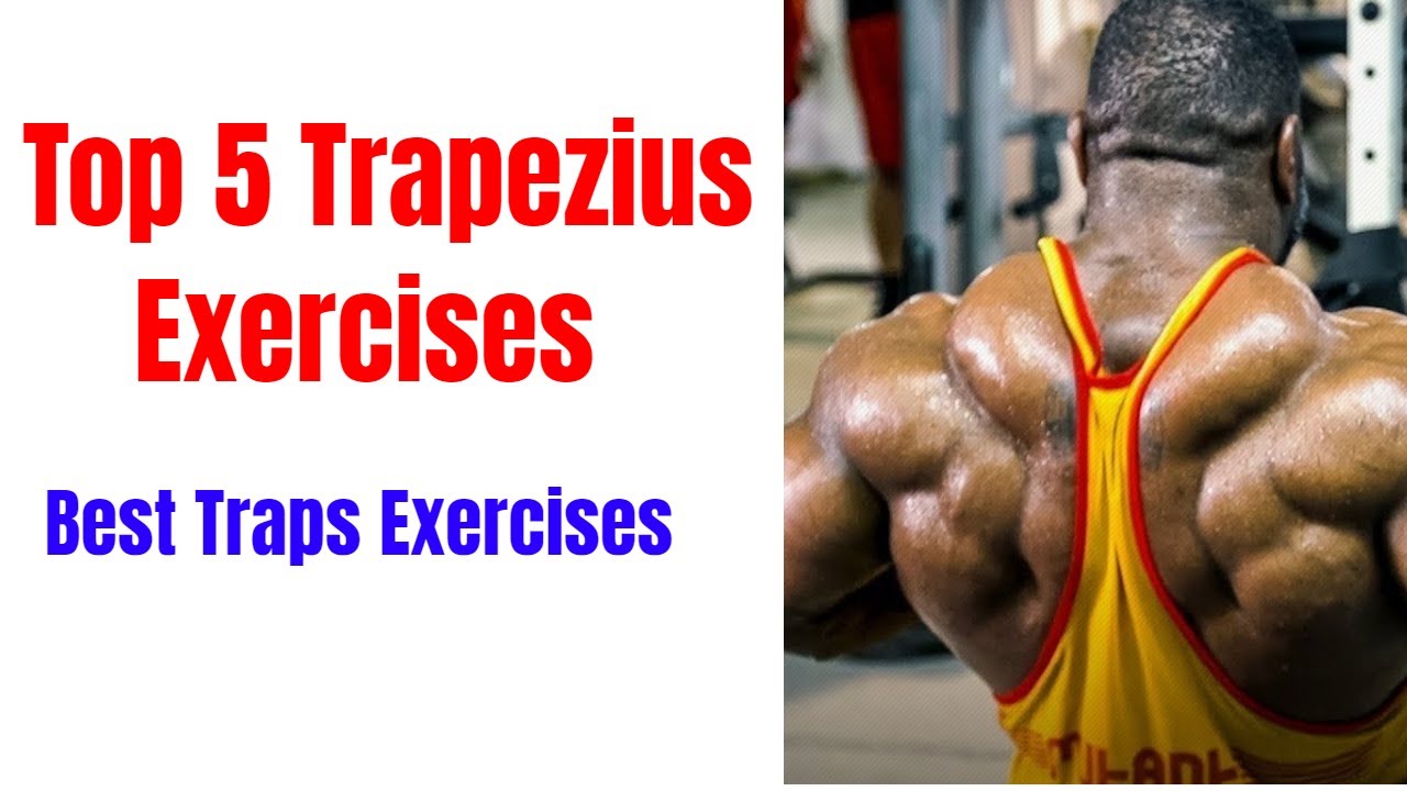 Top 5 Trapezius Exercises 2019 | Trapezius Workout | Traps | Trap