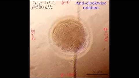 AC Electric Field Induced Dipole-Based On-Chip 3D Cell Rotation