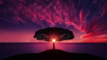 سورة ال عمران كاملة | تلاوة رائعة الشيخ انس العمادي