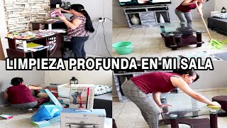 LIMPIEZA PROFUNDA EN MI SALA /MARY DIY /