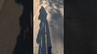 Wheeling About Part 1