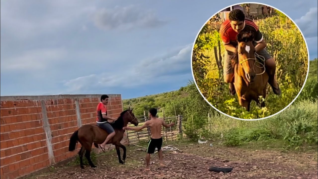 BRUTINHO CONTRATA VAQUEIRO PARA SUA FAZENDA E  O Pl0R ACONTECE