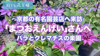 京都の有名園芸店『まつおえんげい』さんへ来訪！ものすごい品数の長尺つるバラ・木立バラ700種類以上、クレマチス300種類以上の楽園！珍しい鉢やガーデニングアイテム、オベリスク、トレリスもいっぱい！