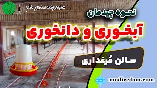 نحوه چیدمان و قرار دادن دانخوری و آبخوری در سالن‌های مرغداری گوشتی