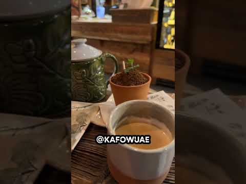 مقهى اوقنك كل شي طبيعي ومن مزرعتهم السياحة في بولندا      بولندا