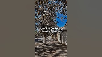 تلاوة عطرة لسورة النصر بصوت الشيخ أحمد العجمي 🎧 🤲 11 #سورة_النصر #احمد_العجمي