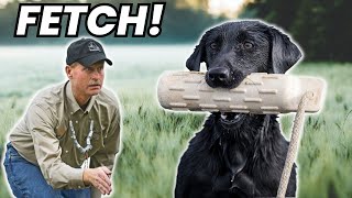 Teach ANY Dog the Fetch Command By Doing This!