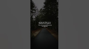 ألا إن نصر الله قريب ، سورة البقرة بصوت القارئ محمد اللحيدان بصوت خاشع جدا