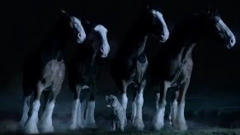 Passenger ~ Let Her Go