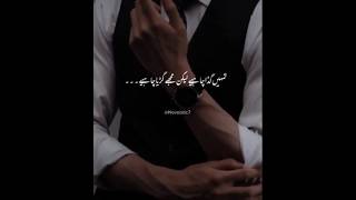 Best Urdu Novel Lines