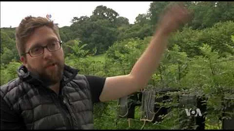 Botanists Grow Furniture, with Pruning Shears