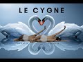 Le Cygne - Acro Duet