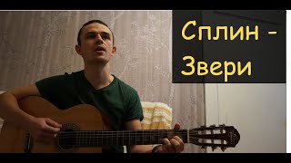 Сплин - Звери (кавер Евгения Осадченко)