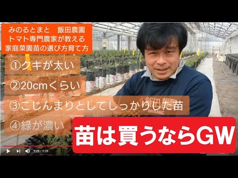 5 トマト専門農家が教える ミニトマト家庭菜園苗の選び方と初期の育て方 Youtube 5 トマト専門農家が教える ミニトマト家庭菜園苗の選び方と初期の育て方 Youtube