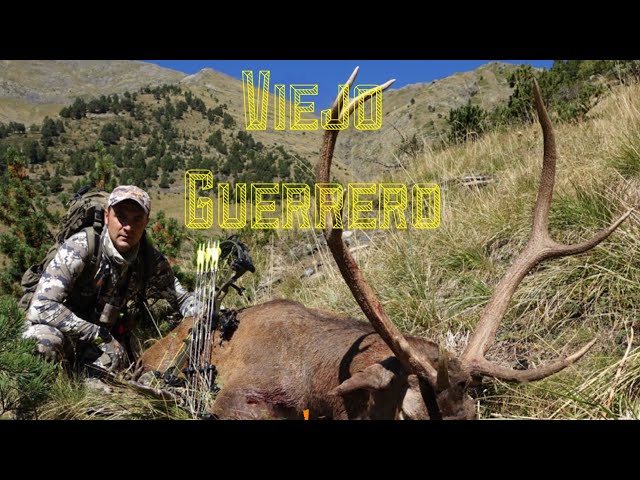 Caza con arco temp 22/23 de un viejo ciervo de monta/Hoyt ventum Bow hunt.