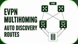 EVPN Multihoming. Auto Discovery Routes. Fast Convergence. Aliasing.