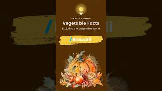 The Astonishing World Of Broccoli Five Surprising Facts