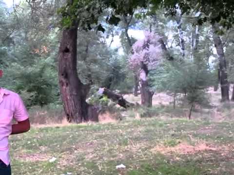 ბოლო ექსტრიმი