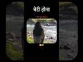बेटी होना ❤️🩹🥺.......#@gyannatraj #viral