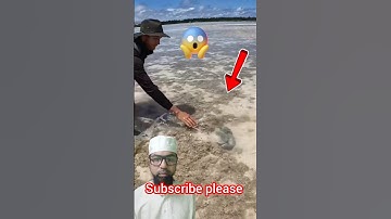 Surah An-Nas سورة الناس Egzon Ibrahimi #egzonibrahimi #tilawat #surahannas #viral #viralvideos