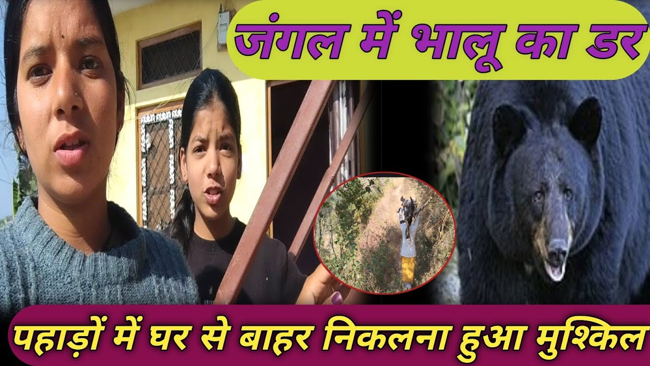 जंगल में भालू 🦍का डर पहाड़ों में घर🌄 से बाहर निकलना हुआ मुश्किल💫 Sanjuvlogs |i lifestyle vlogs✅✨