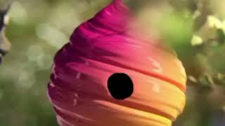 Ctc Beez Logo Remake Kinemaster