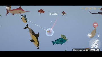 Fishing Life | Câu Cả Con Năm Sao Ở Map Biển Ảo