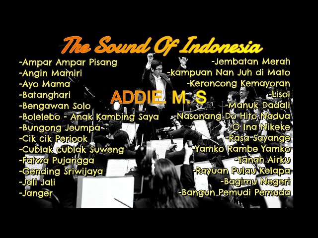 The Sound Of Indonesia | Addie MS Orchestra class=