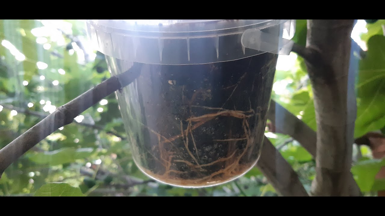 Légbujtás készítése gyorsan egyszerűen