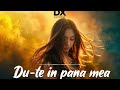 Du-te in pana mea -Manele Din Viitor| Official Music