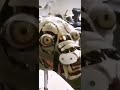 6 robot dog