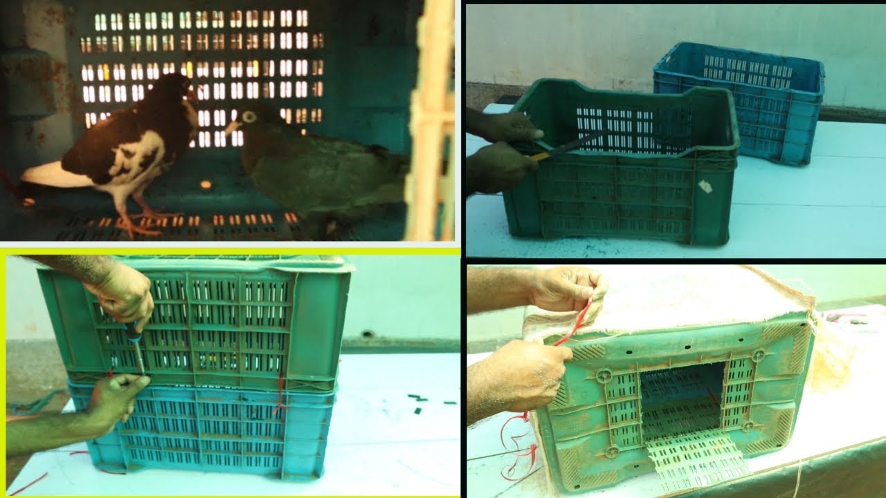 pigeon cage making malayalampigeon cage setuppigeon cage design