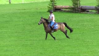 Wolf Viktoria - Dolce Vita 11 - L - Olachgut 2017