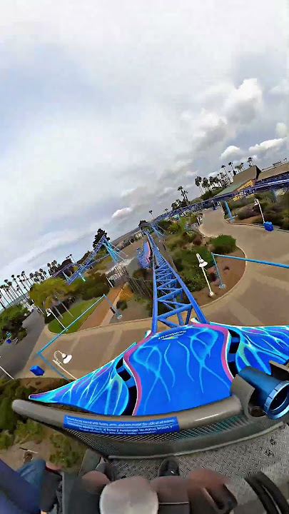 Manta at SeaWorld San Diego