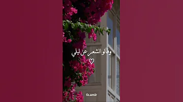 وقالوا الشعر عن ليلي حسين الجسمي حسين الجسمي2025 عمرو دياب Wegz ويجز عمرو دياب حالات واتس 