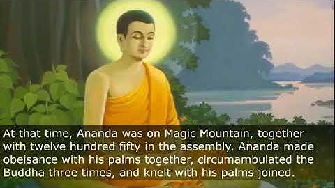 The sutra of causes and effects of actions