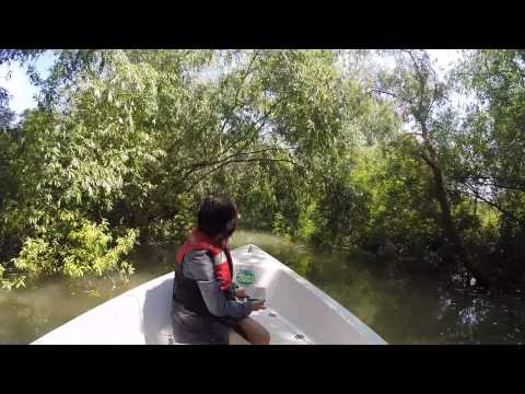 Danube Delta Boat