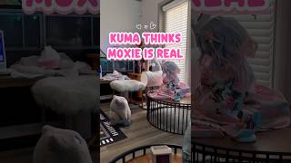 Kuma Thinks Moxie Is Real
