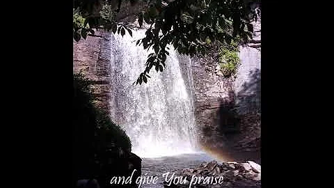 "All Praise"                Teresa Allan Burch