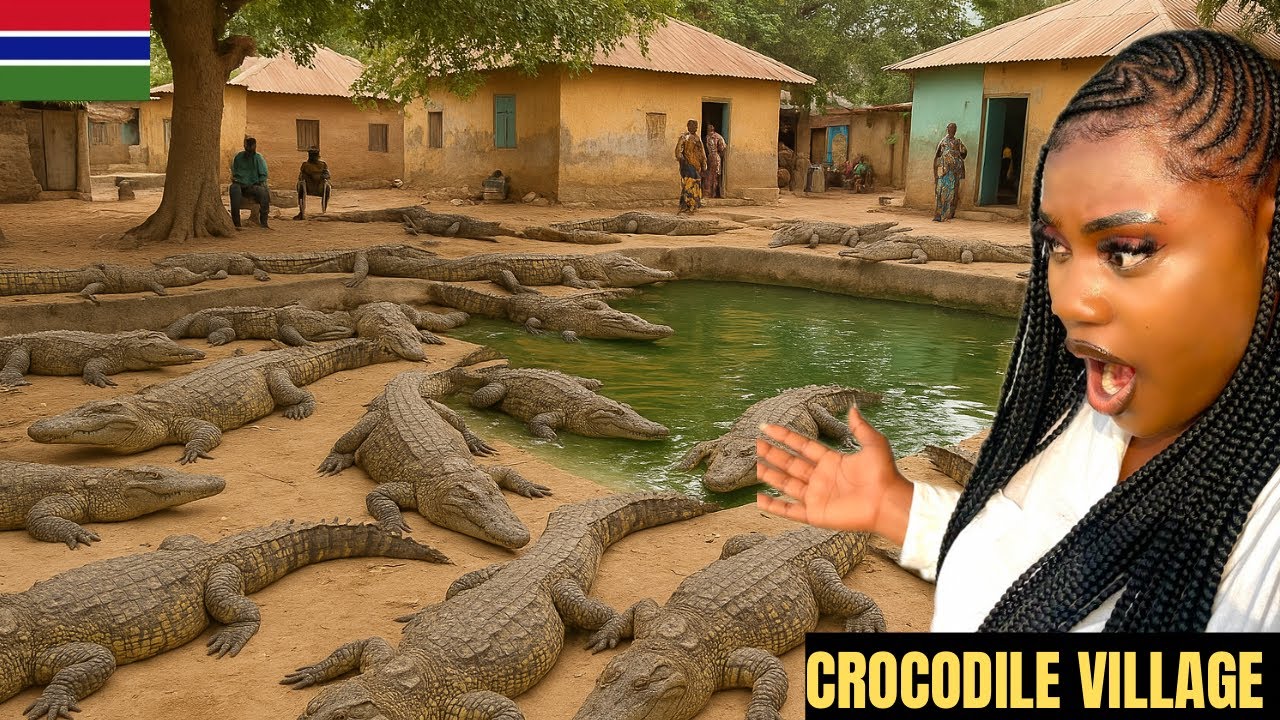 SHOCKING : The crocodile village in the GAMBIA,A community that live with crocodiles freely 🇬🇲