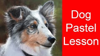 How To Draw Dog Fur - A Realistic Dog: Pastel & Panpastel Tutorial | Pet Portrait