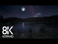 10 hrs of nighttime nature soundscapes lake waves cicadas crickets  8k enchanting night