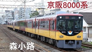 【高速通過】京阪8000系特急淀屋橋行 @森小路 EOS R6で撮影 Keihan Series 8000 Limited Express bound for Yodoyabashi with R6