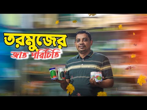 ভিডিও: কোস্তানায়ের গাড়ির ডিলারশিপ: ঠিকানা