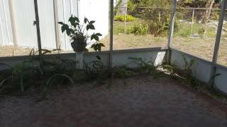 3693 25TH AVE N, ST PETERSBURG FL 33713 - Real Estate - For Sale -