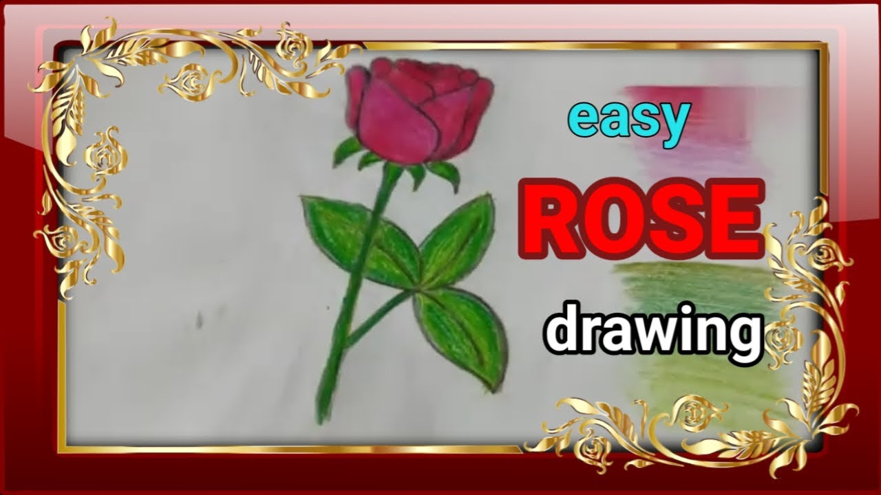 Two Roses Drawing Easy Rose Drawing Easy |Two Rose 🌹 Drawing| - YouTube